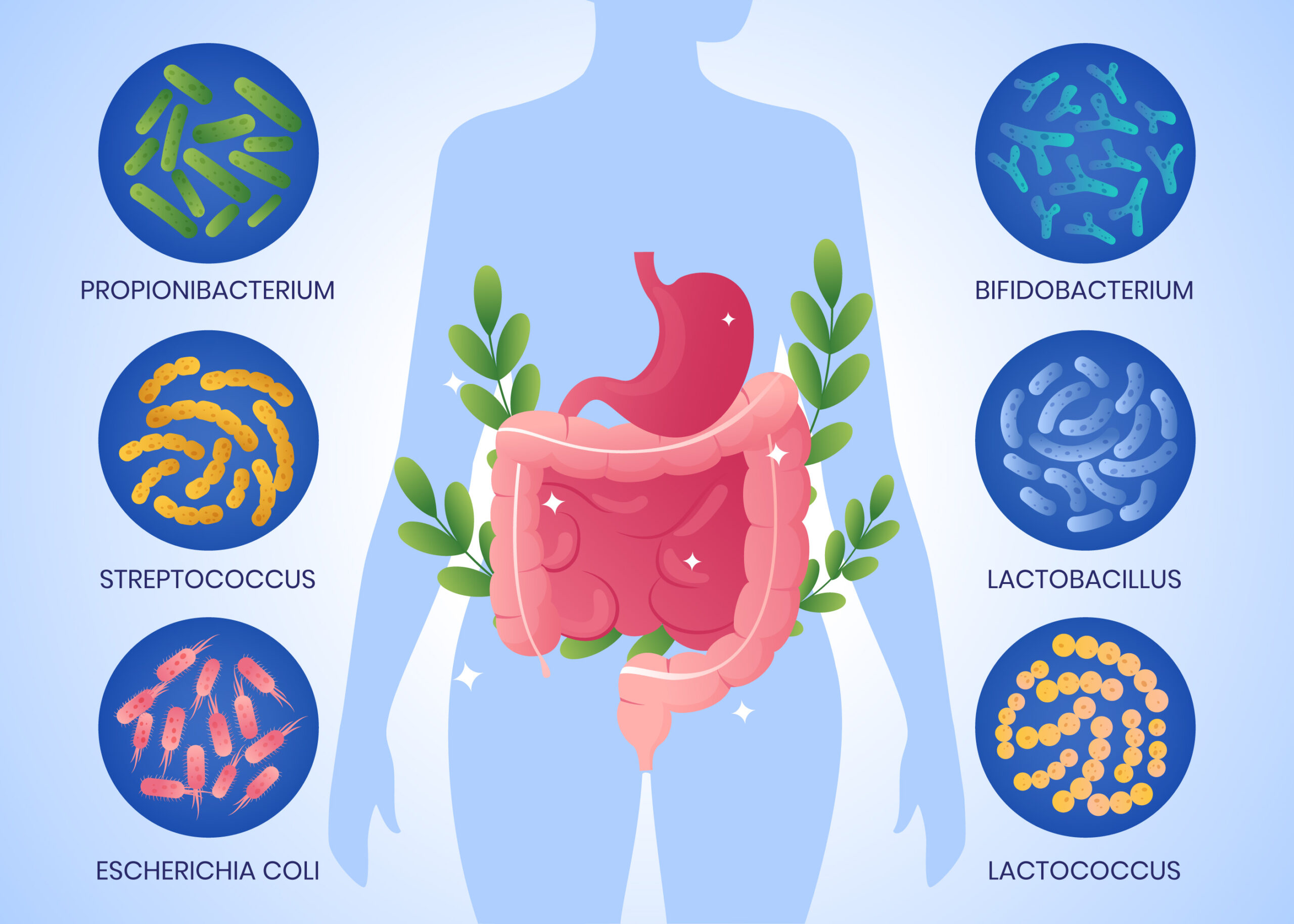 Gut Health and Microbiome Awareness